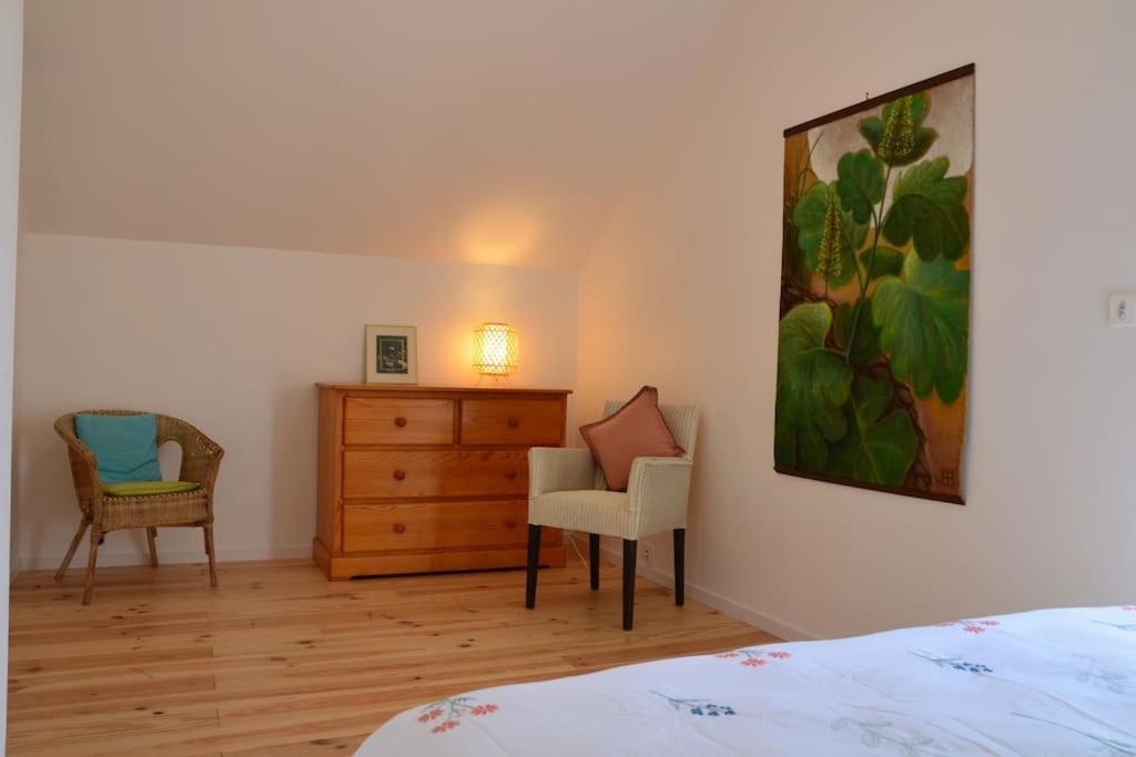 La Maison Des Cordelles Saint-Denis-en-Val Extérieur photo